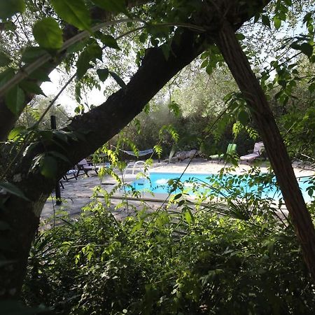 Tikal Boungalows Hotel Malcocinado  Kültér fotó