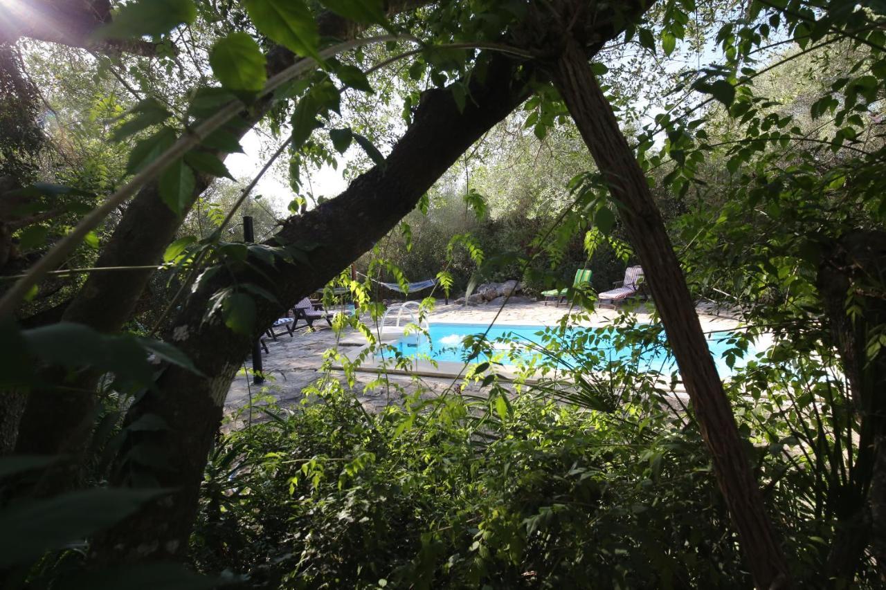 Tikal Boungalows Hotel Malcocinado  Kültér fotó